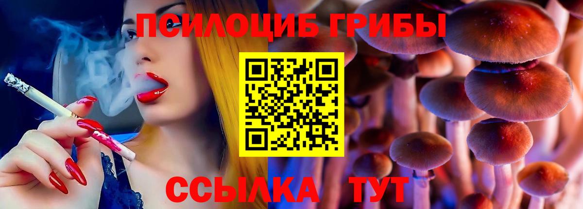 Псилоцибиновые грибы Psilocybine cubensis Саранск